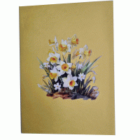 pop-up narcis 2 kaart